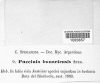 Image Associated With the Occurrence